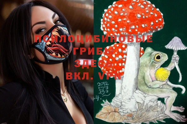 бошки Абаза